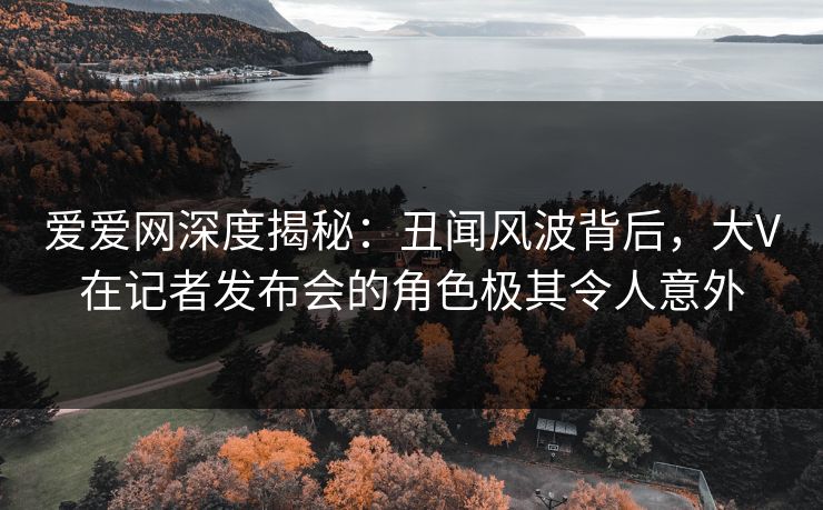 爱爱网深度揭秘：丑闻风波背后，大V在记者发布会的角色极其令人意外