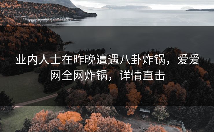 业内人士在昨晚遭遇八卦炸锅,爱爱网全网炸锅,详情直击