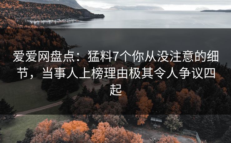 爱爱网盘点：猛料7个你从没注意的细节，当事人上榜理由极其令人争议四起