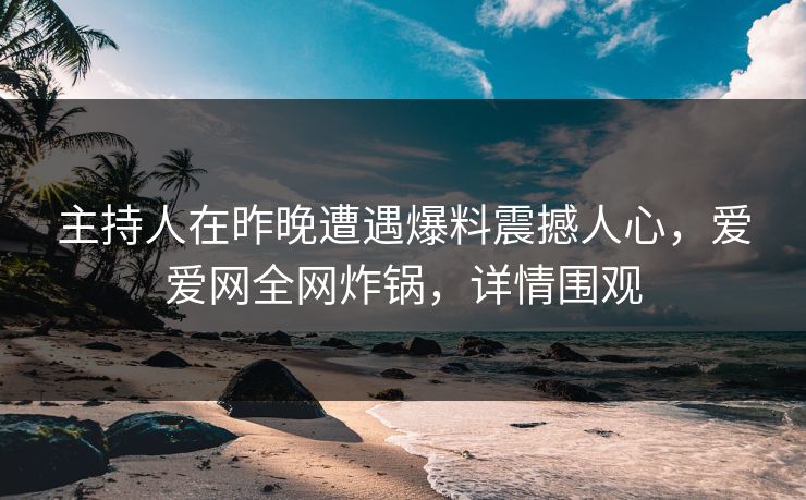 主持人在昨晚遭遇爆料震撼人心,爱爱网全网炸锅,详情围观